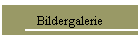 Bildergalerie