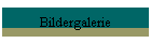 Bildergalerie